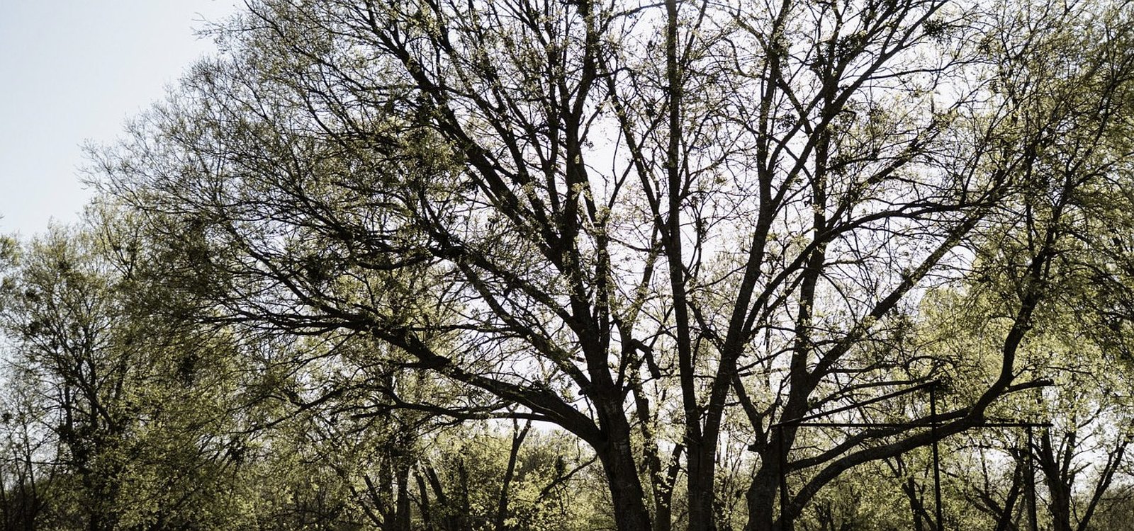 Manx Farms rustic barn venue